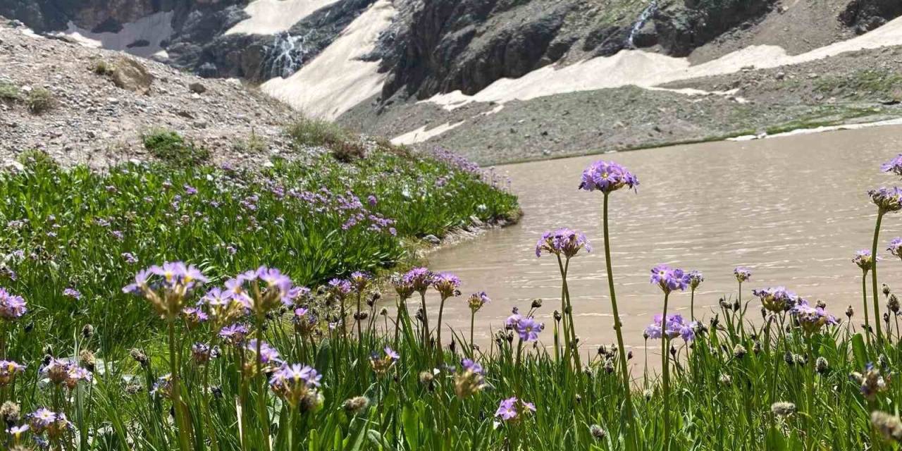 Cilo Dağı’nda Buzullar Hızla Eriyor