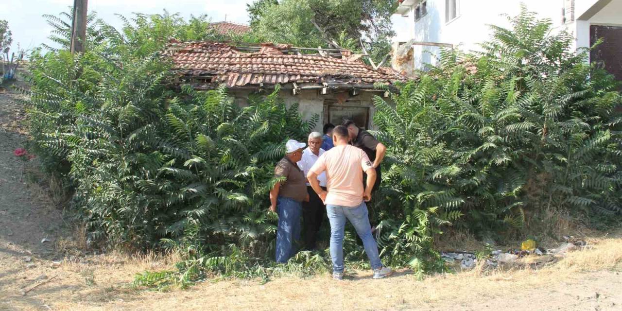 Bir Şehir Bunu Konuşuyor: Keloğlan’ın Çankırılı Olduğu İddiası Gündem Oldu