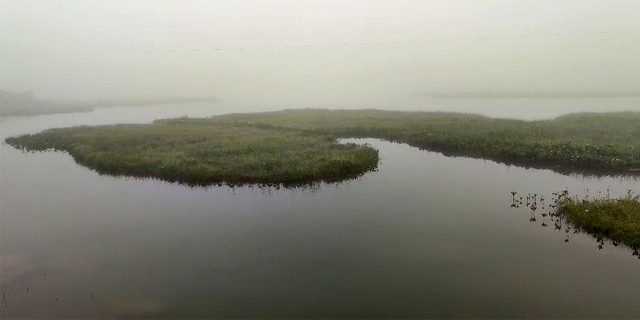 Rize'de göldeki yüzen adalar hava durumunu önceden söylüyor