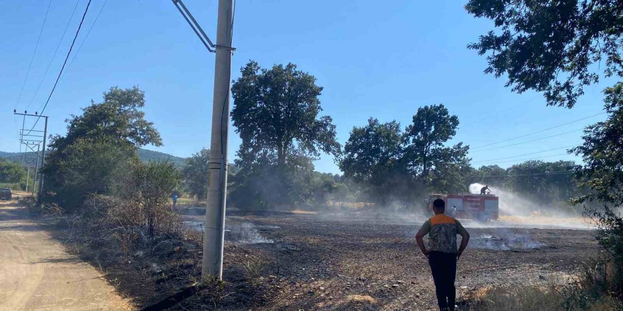 Bilecik’te Ormanlık Alana Sıçrayan Yangına Müdahale Ediliyor