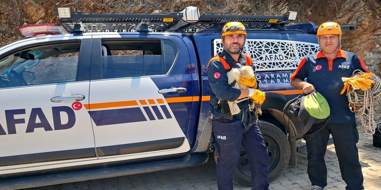 Ayağı kırılan leylek için seferber oldular