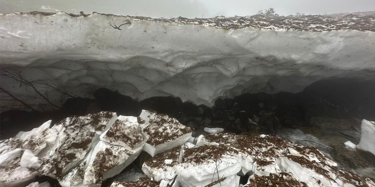Ayder Yaylası’nda Çığ Felaketi: Bir Kişi Hayatını Kaybetti