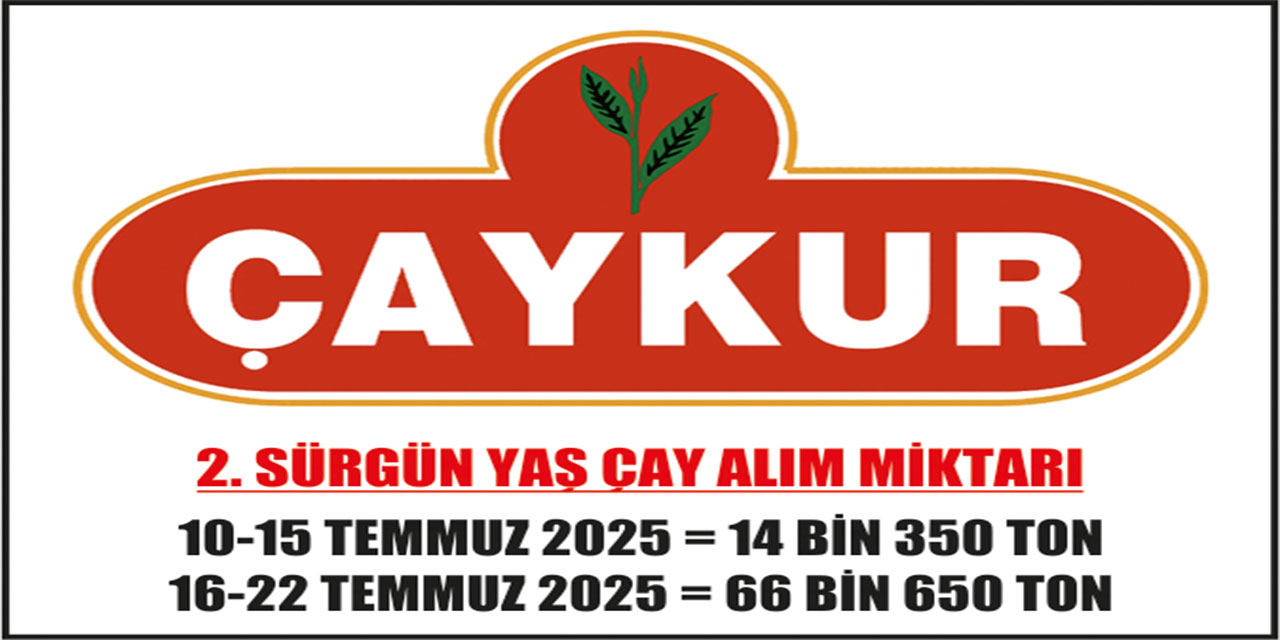 ÇAYKUR İkinci Sürgünde Kapasitesini Zorluyor: Kontenjan 25 kg