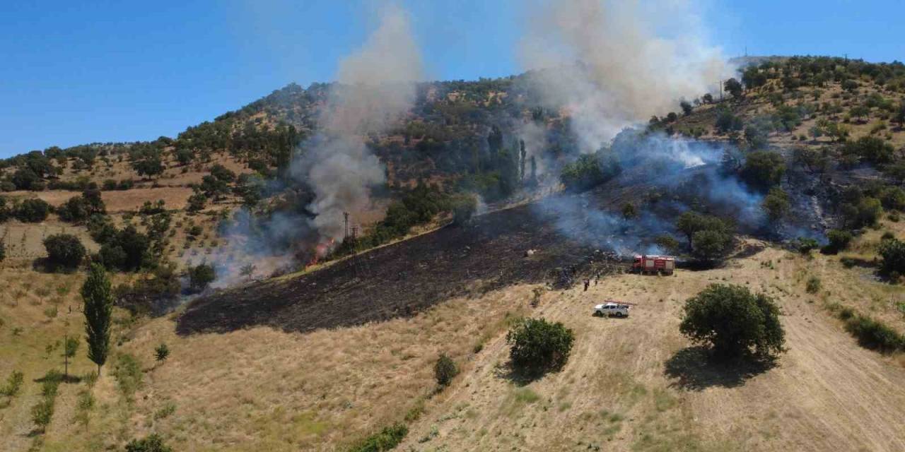 Manisa Demirci’deki Orman Yangını Söndürüldü