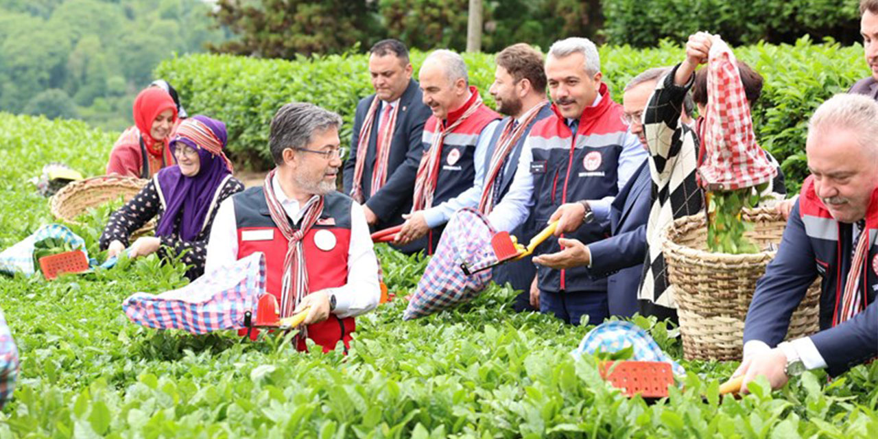 Rize Valisi Baydaş'tan çay üreticilerine "fiyat" uyarısı