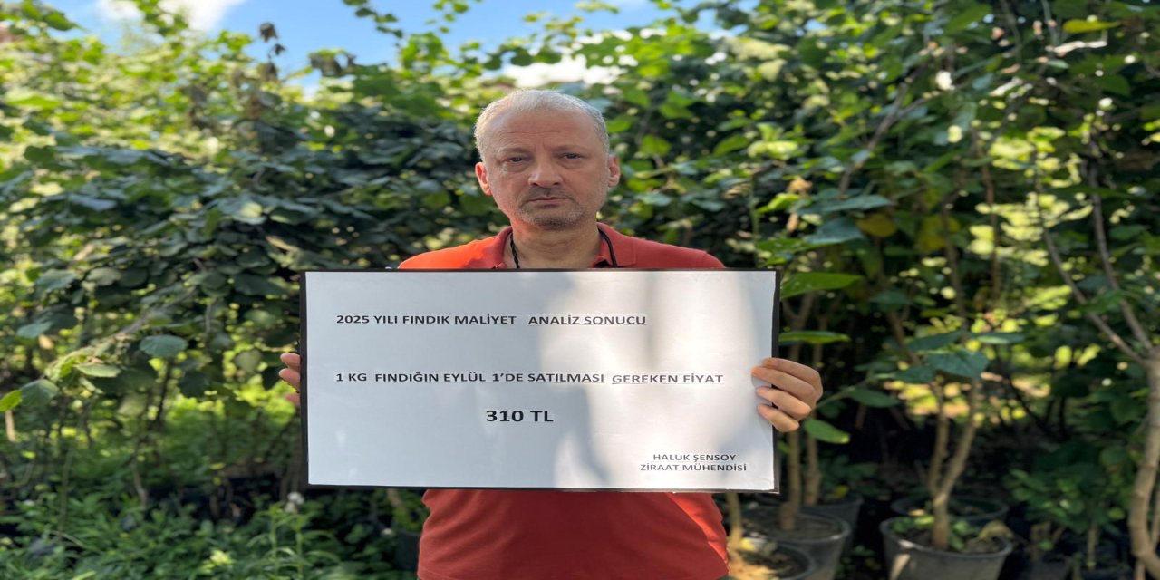 Ziraat Mühendisi Şensoy: 1 kilogram fındığın üreticiye maliyeti 222 TL