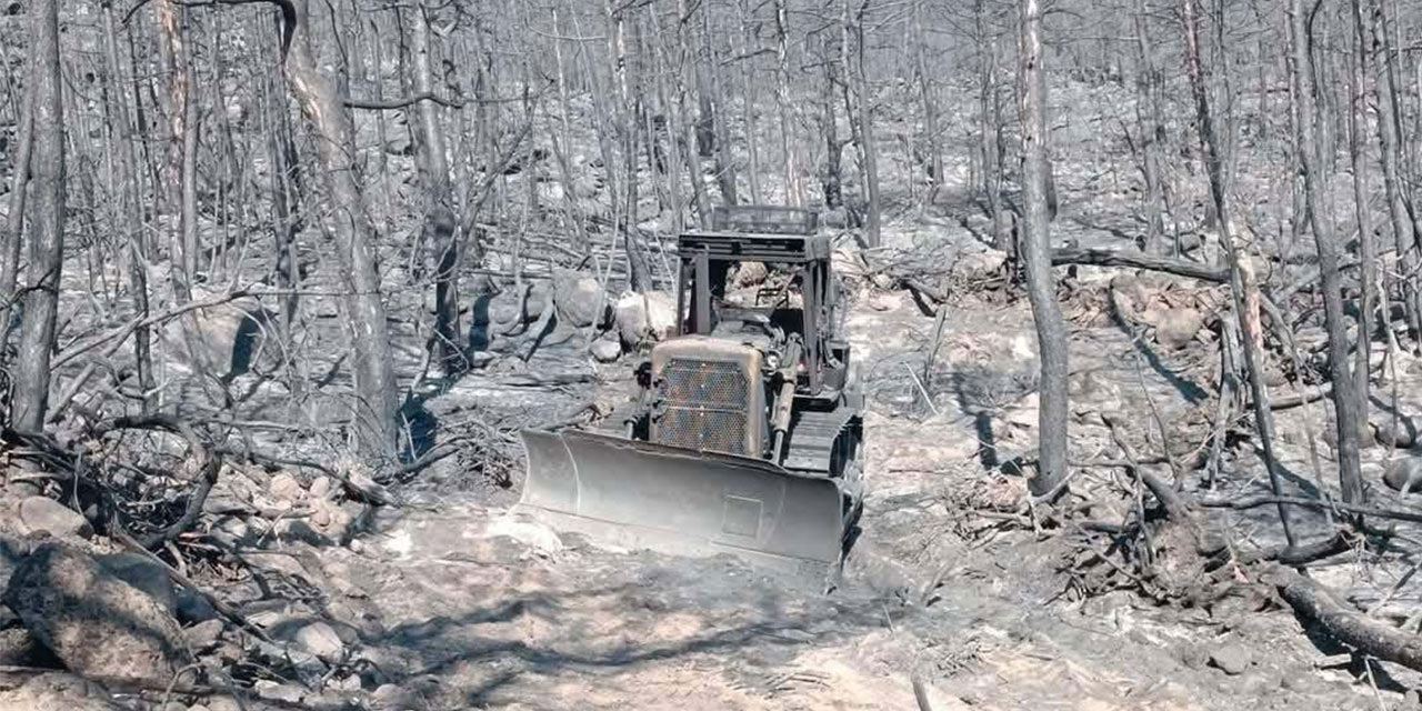 10 orman savaşçısının şehit olduğu alanın fotoğrafları ortaya çıktı