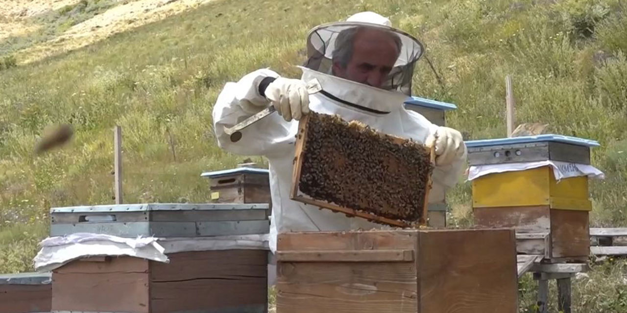 Rize'den İspir'e Uzanan Ballı Bir Hikaye: Bir Dedenin Kovandan Hediyesiyle Değişen Hayat
