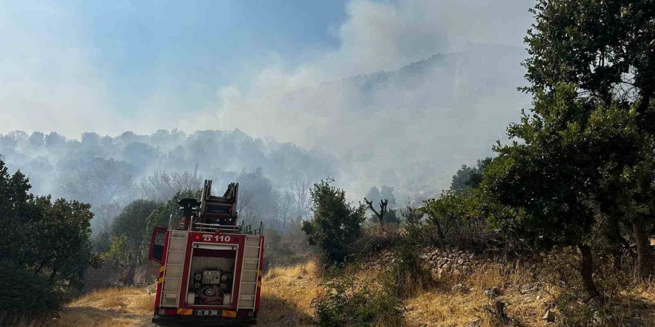 Diyarbakır’da Çıkan Orman Yangınına 9 Saattir Müdahale Devam Ediyor