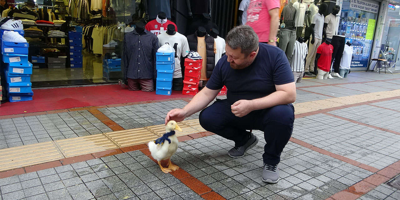 Rize'nin caddelerinin maskotu oldu