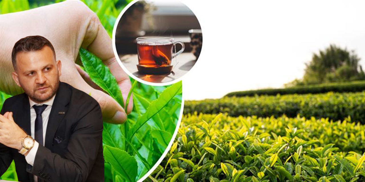 ASKON Rize'den Çay Sektörüne Sert Eleştiri. Karakoyun: "Sorumlu Siyasi İktidar ve Yerel Aktörler!"