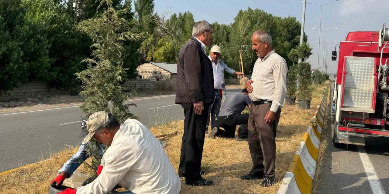 Patnos’ta Yeşil Alan Çalışmaları Sürüyor