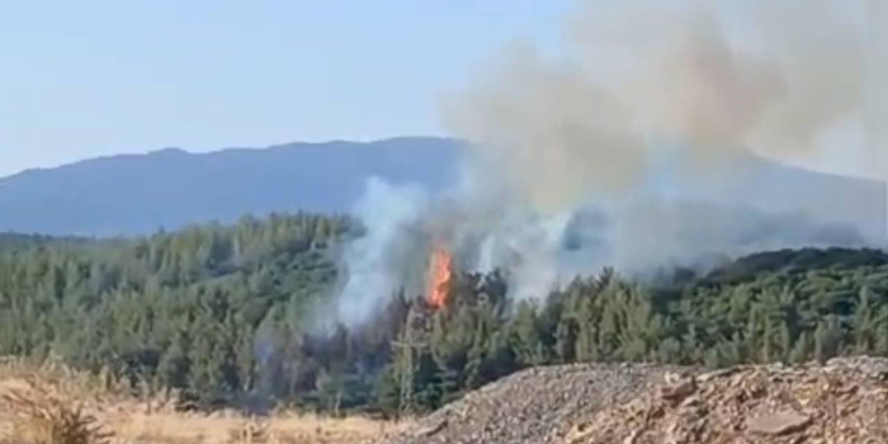 Tavas’taki Orman Yangını Kontrol Altına Alındı