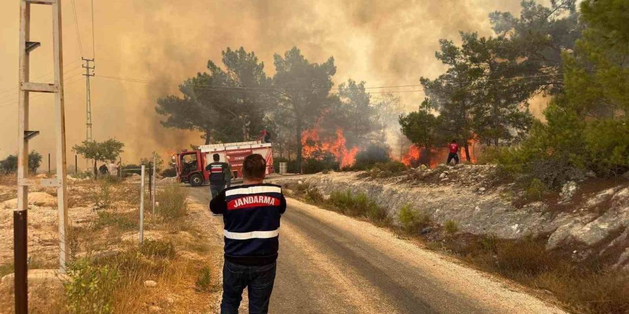 Mersin’deki Orman Yangınında Jandarma Ekipleri Aktif Rol Aldı