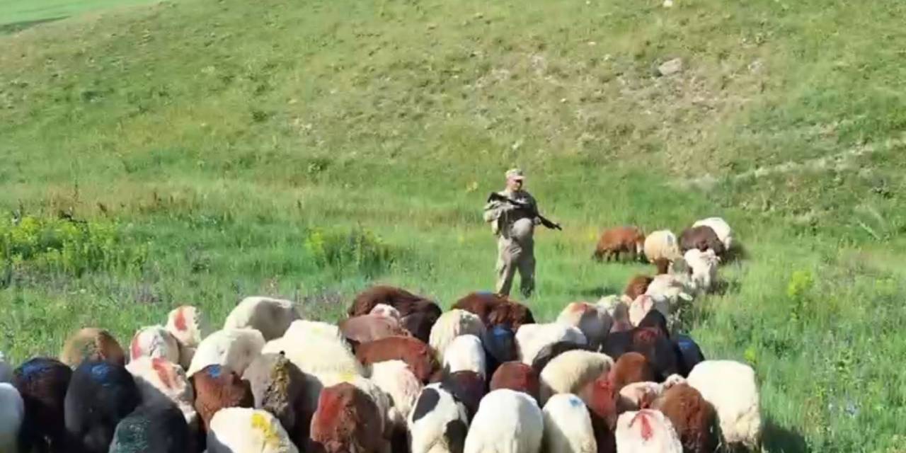 Kars’ta Kayıp Küçükbaş Hayvanlar Bulundu