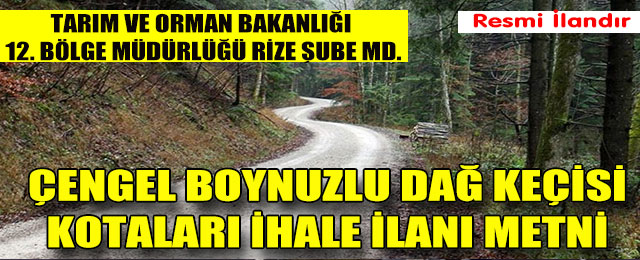 Çengel boynuzlu Dağ Keçisi Kotalarının ihalesi