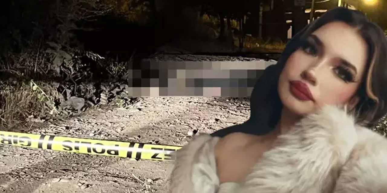 Üniversiteli Teslime, tabancayla başından vurulmuş halde orman yolunda ölü bulundu