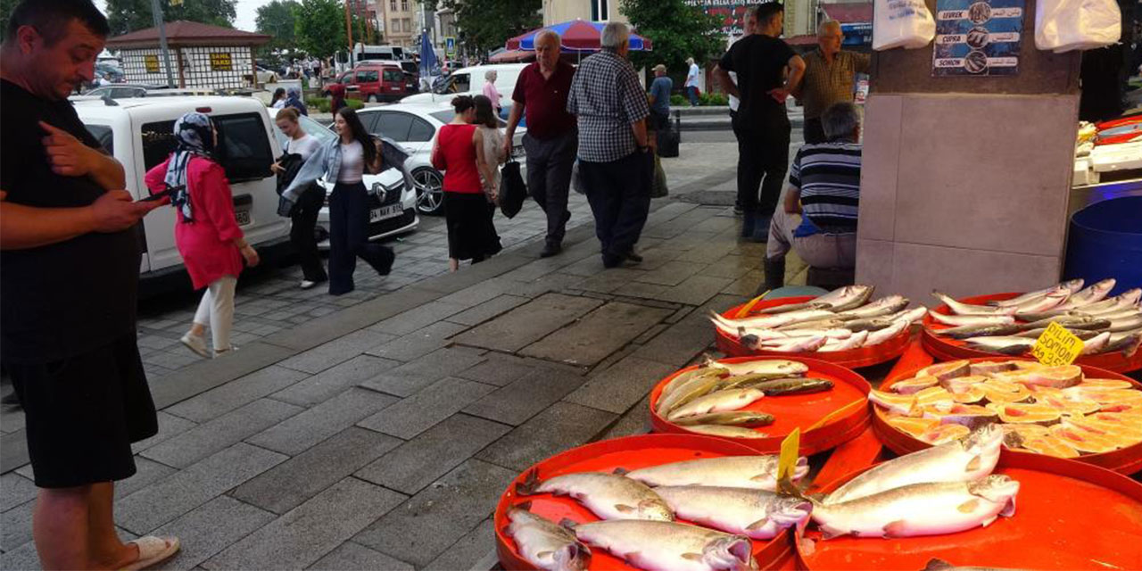 Balıkçıların gözü bu sezon hamside