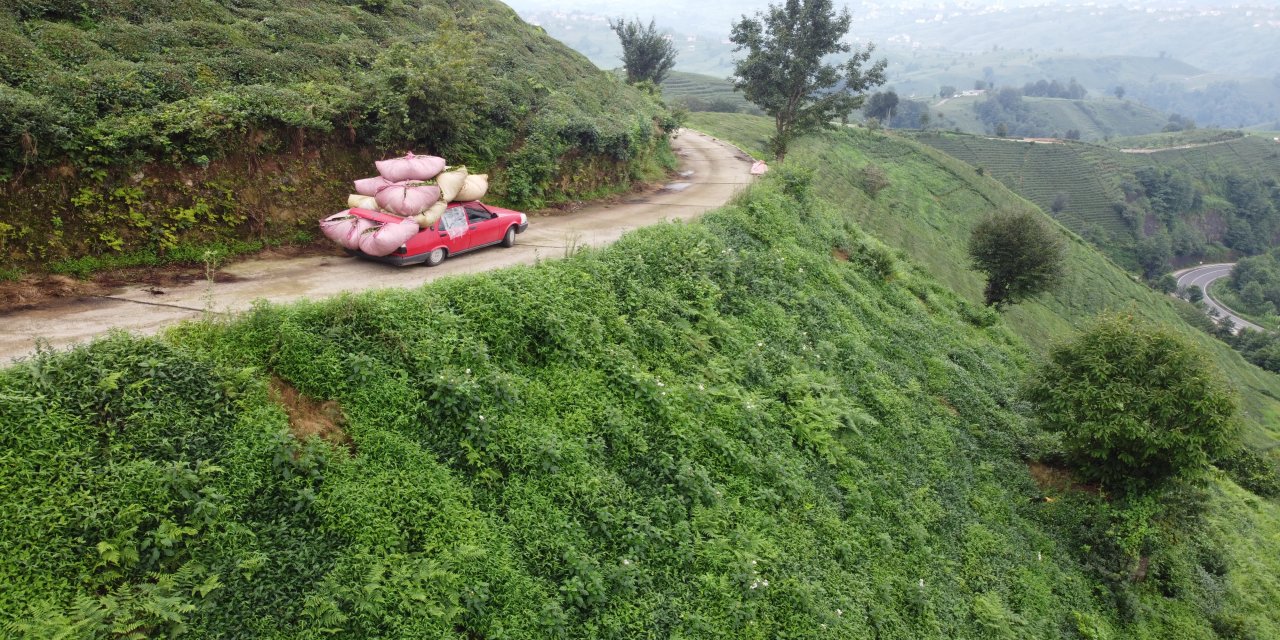 Rize'de Çay naklinde otomobil ‘kamyonet’ oldu