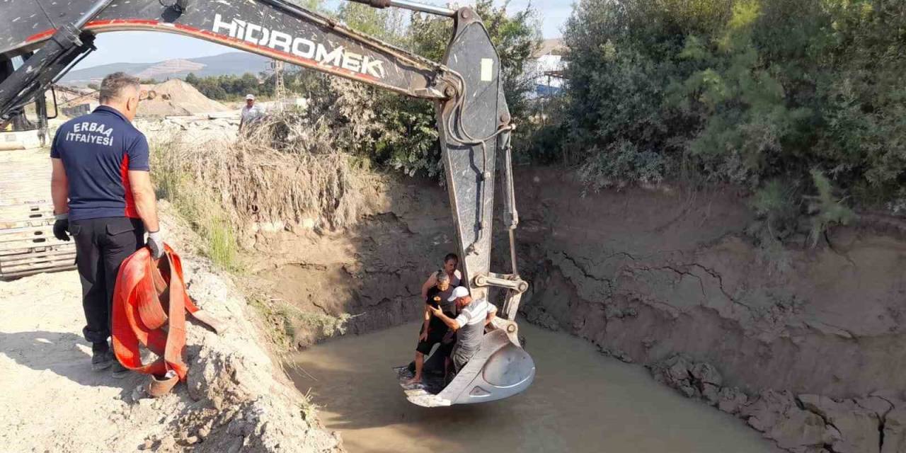Gölete Düşen İnekler Kepçe İle Kurtarıldı