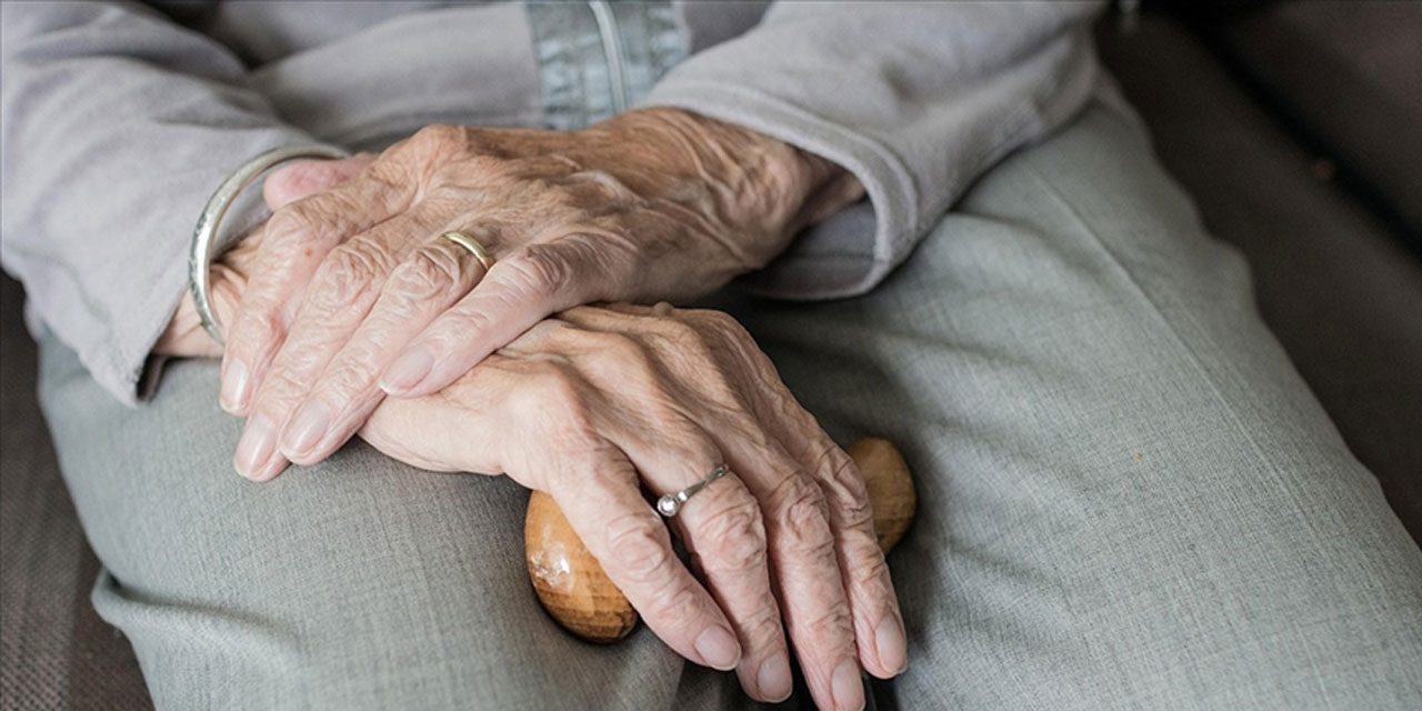 Aile ve Sosyal Hizmetler Bakanlığı, 81 ilde "İl Yaşlılık Çalıştayları" düzenleyecek