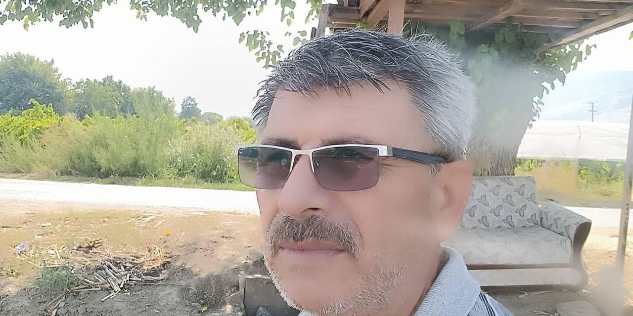 Sarıgöl’ün Ağaçkondusu İlgi Çekmeye Devam Ediyor
