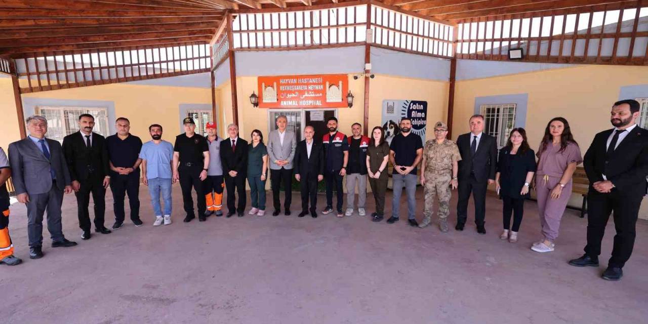 Bakan Yardımcısı Mehmet Aktaş Mardin’de Sahipsiz Hayvanlar İçin Yapılan Çalışmaları İnceledi