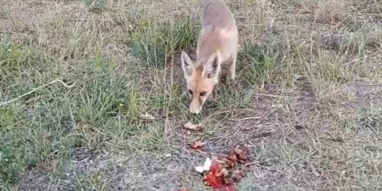 İlhan Öğretmenden Anlamlı Davranış
