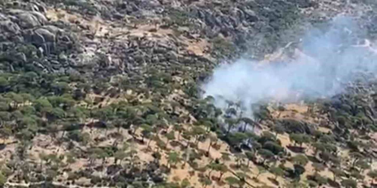 Söke’nin Latmos Dağları Değirmen Boğazı’nda Yangın Alarmı