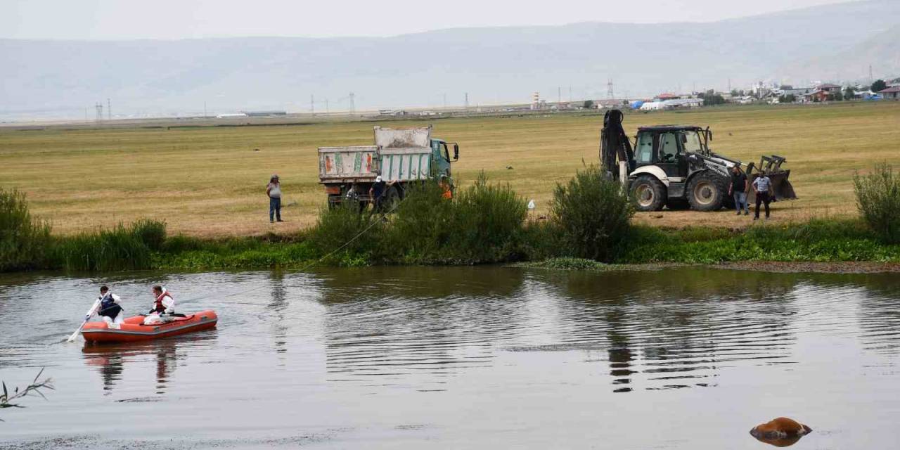 Kura Nehrine Düşerek Boğulan İnek Can Verdi