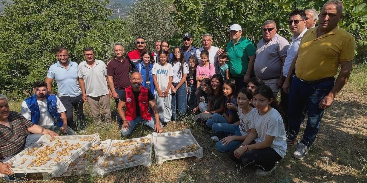 Köşk’te Gönüllü Hasat Şenliği Gerçekleştirildi
