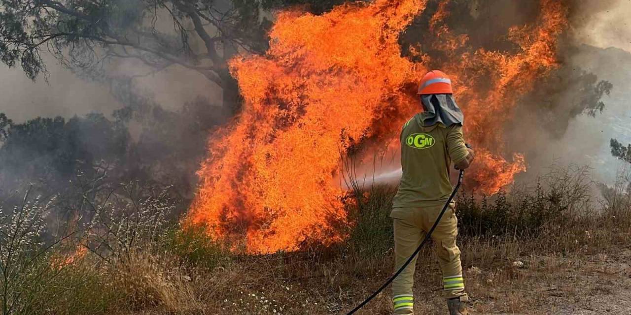 Aydın’da Ormanlar İçin Kırmızı Alarm