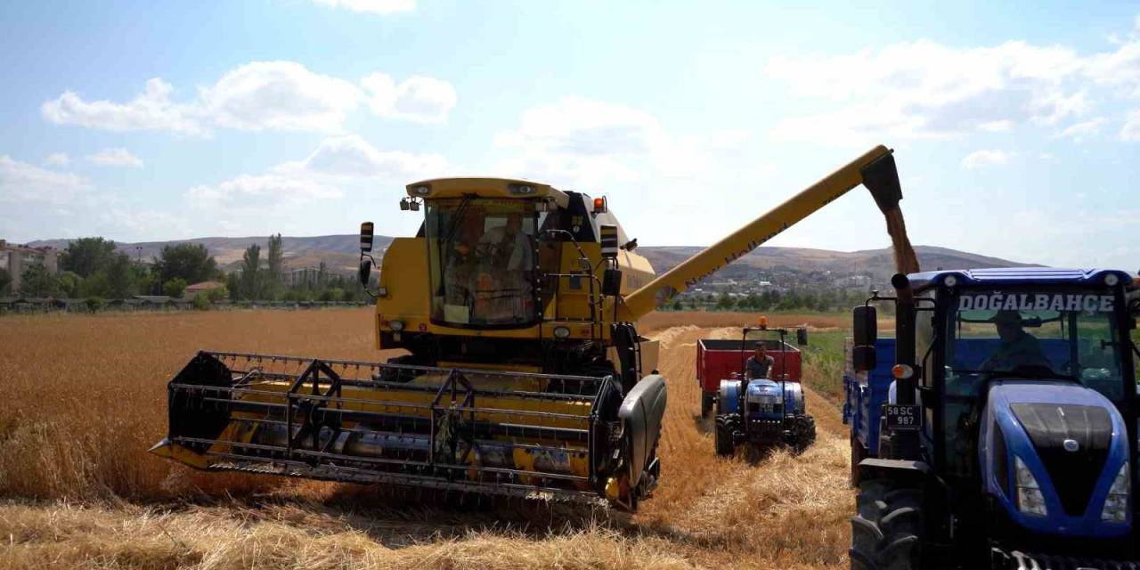 Sivas Cumhuriyet Üniversitesi’nde Hasat Bereketi Başladı