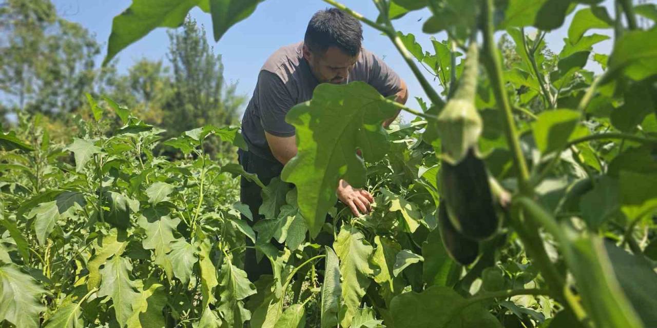 Baba Mesleğini Bıraktı, 25 Yıldır Toprağa Emek Veriyor