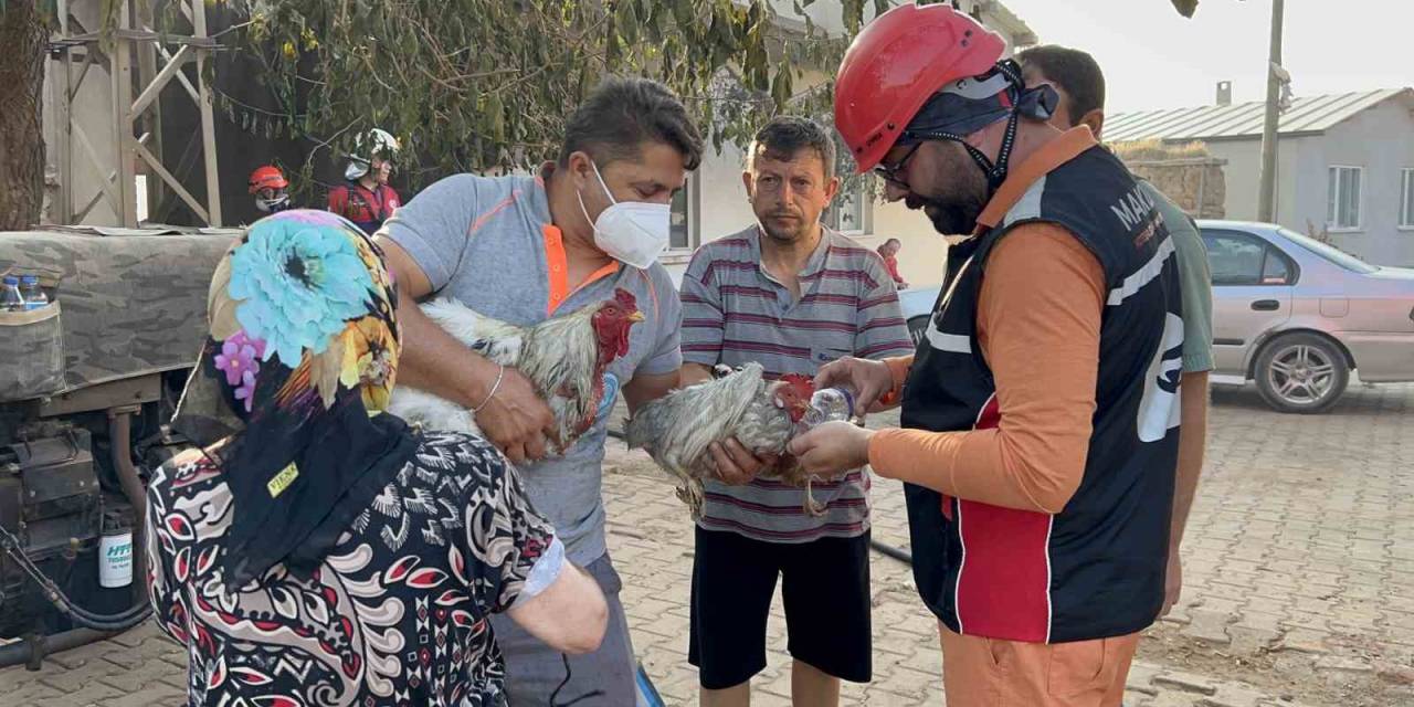 Saçaklı Köyünde Evi Ve Damı Yanan Kadının Dumandan Etkilenen Tavuklarının Yardımına Ekipler Ve Gönüllüler Koştu