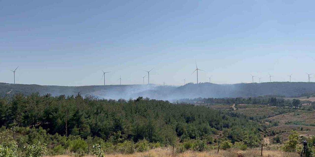Çanakkale’deki Orman Yangını Kontrol Altında