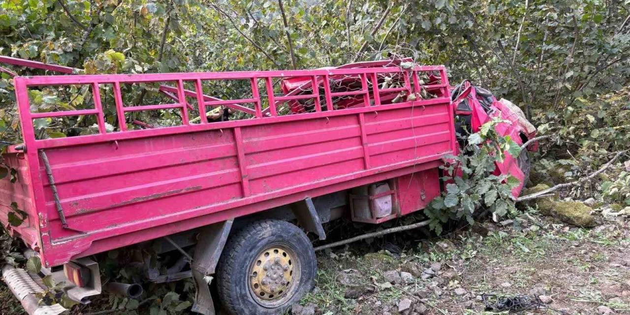 Giresun’da Kamyonet Fındık Bahçesine Yuvarlandı: 4 Ölü, 1 Yaralı