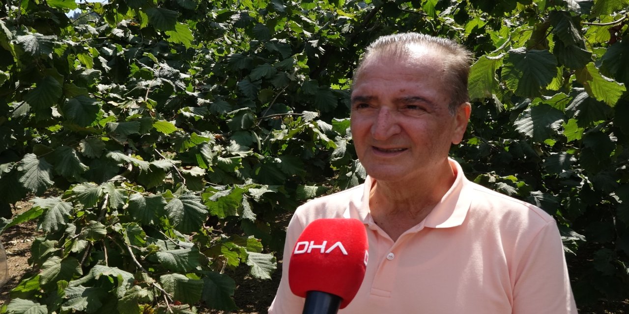 Fındıkta düşük rekolteye rağmen rekor ihracat hedefi
