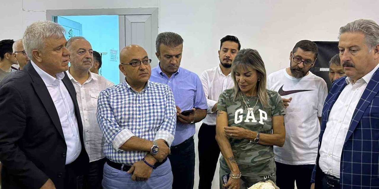 7,5 Milyon Yıllık Fosil Çalışmalarında Gelinen Nokta Değerlendirildi