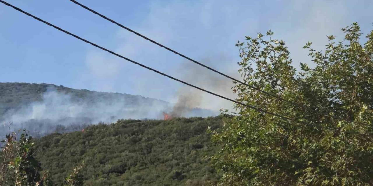 Bursa’daki Orman Yangını Kontrol Altına Alındı