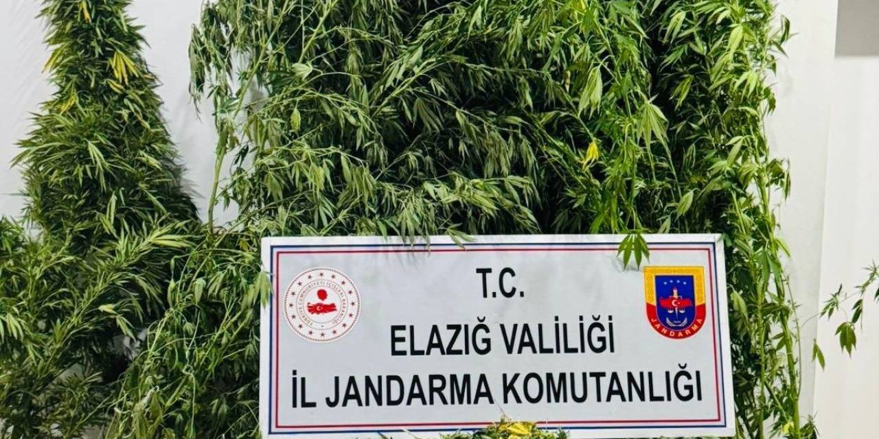 Elazığ’da Uyuşturucuyla Mücadele