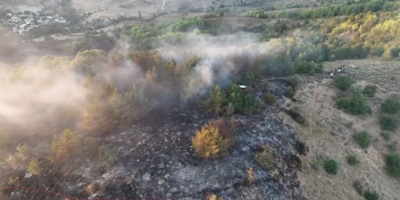 Ordu’da orman yangın 4 saatte söndürüldü