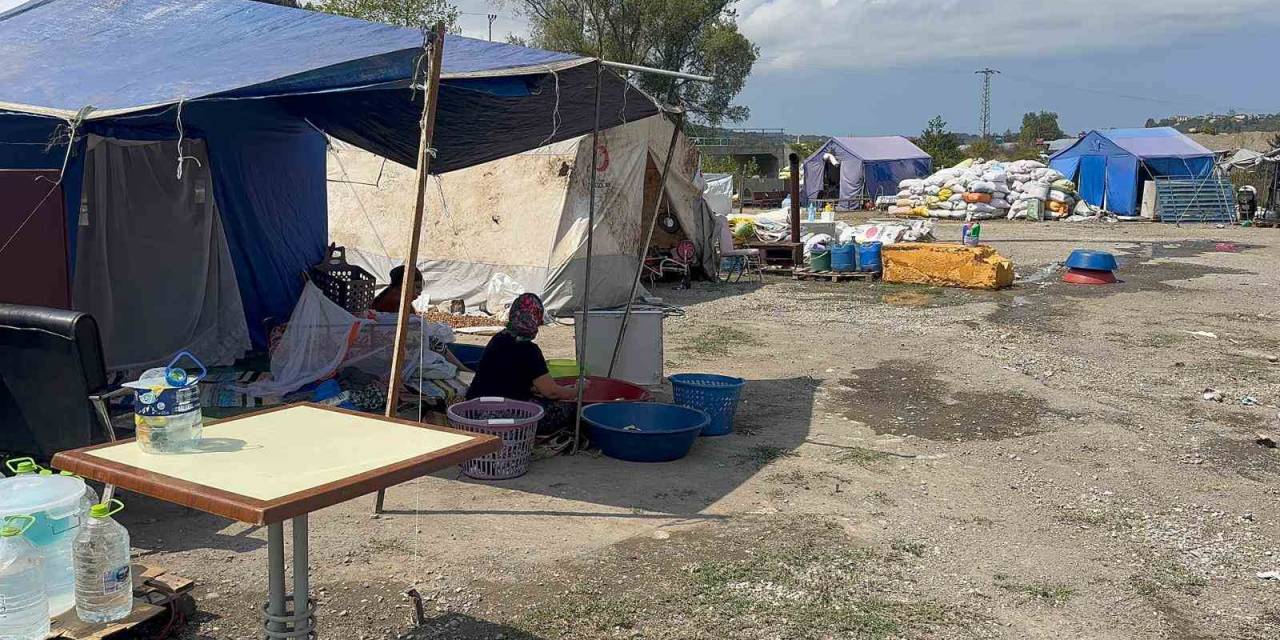 Fındık İşçilerinin Çadır Hayatında Her Şey Var, Su Ve Elektrik Yok