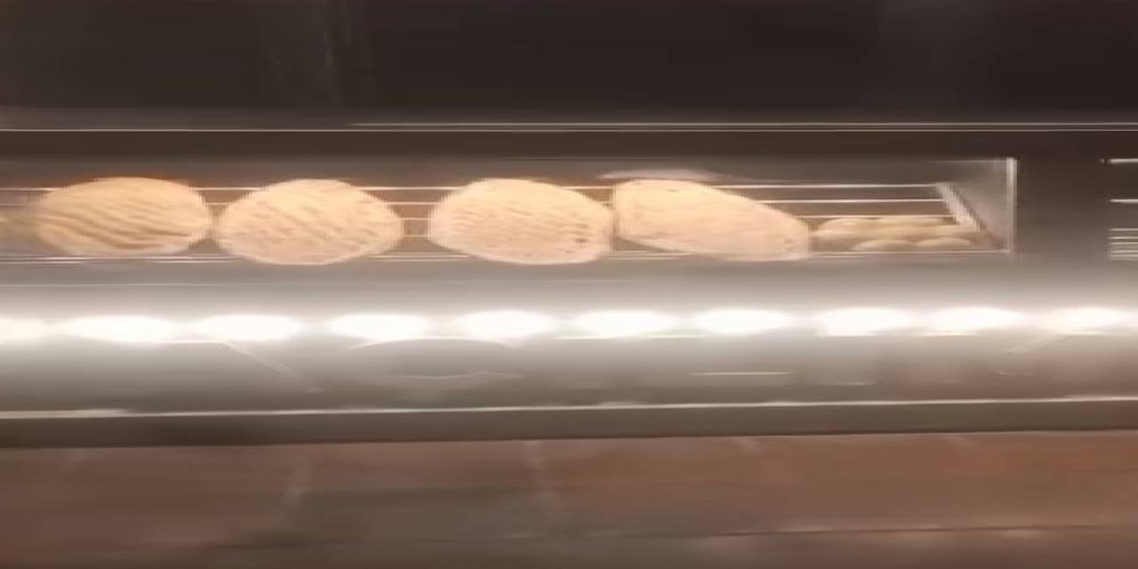 Elazığ’da Fare Görülen Fırına Ceza