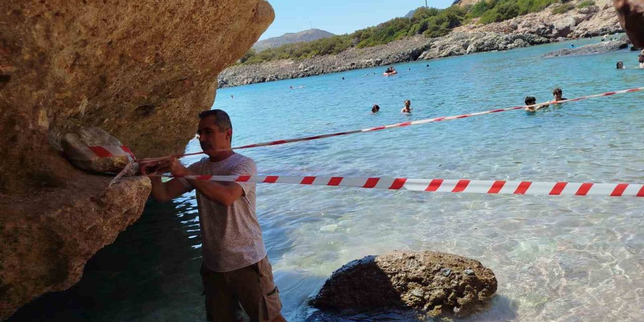 Koruma Altına Alınan Akdeniz Foku, Kontrollerinin Ardından Sahile Bırakıldı