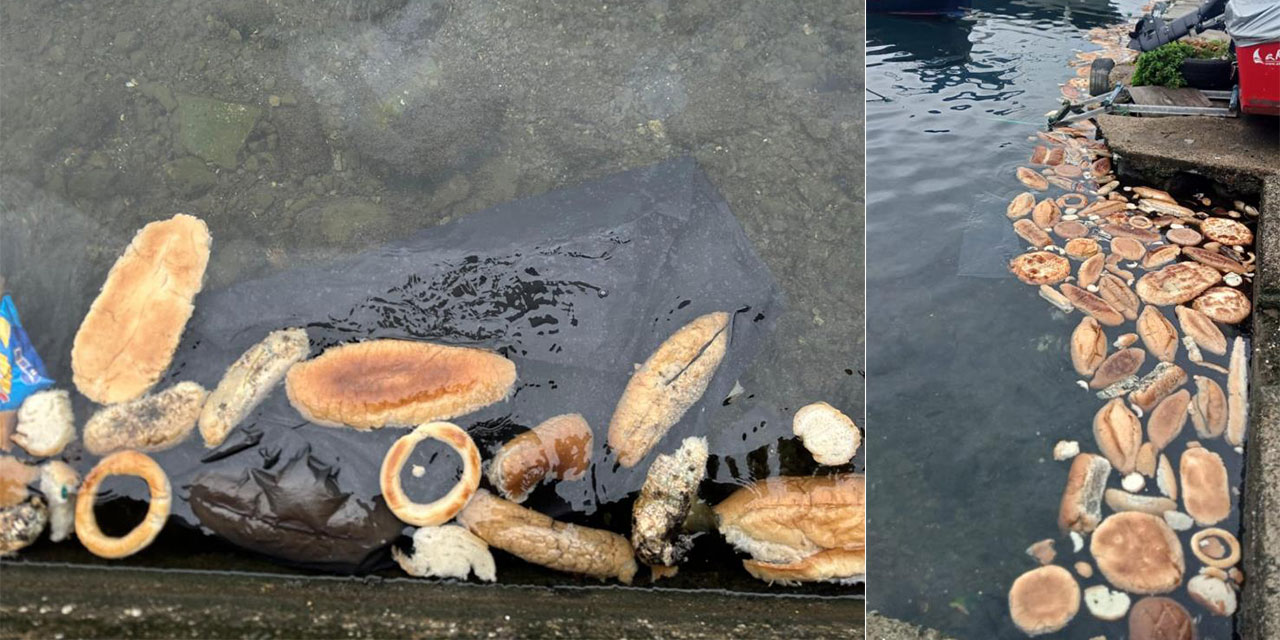 Rize'de yüzlerce ekmek, simit ve mısır ekmeğini denize döktüler
