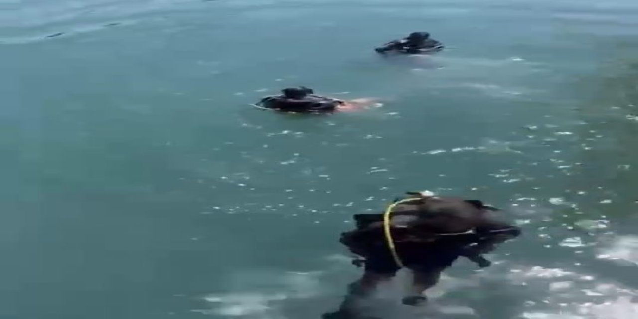 Sulama kanalına düşürdüğü cep telefonunu almak isterken boğuldu