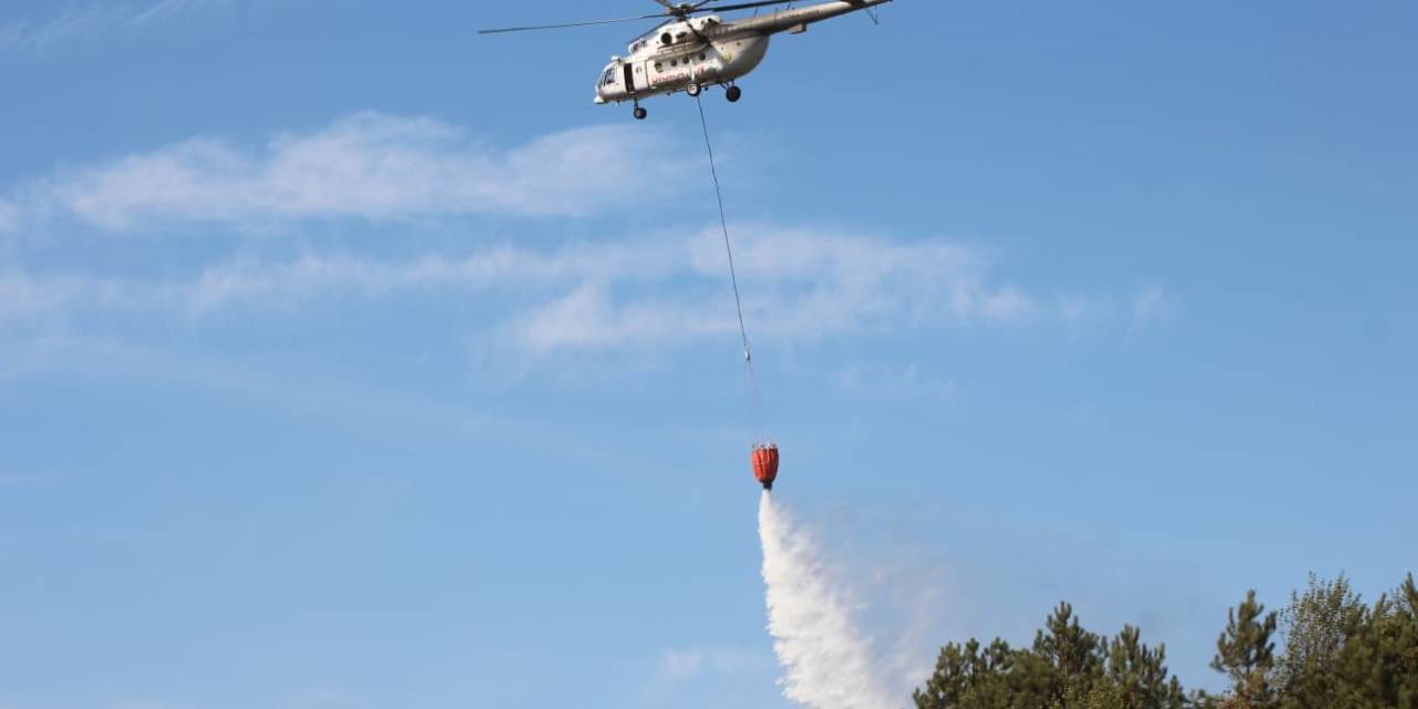Sakarya’daki Orman Yangını Kontrol Altına Alındı