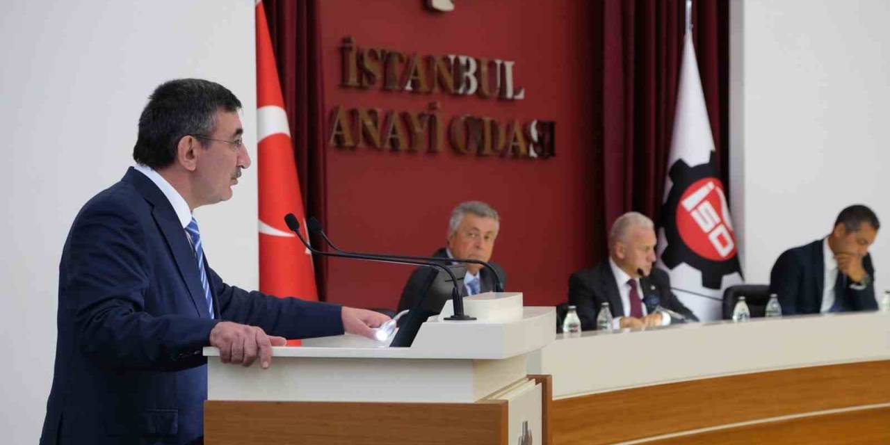 Cumhurbaşkanı Yardımcısı Yılmaz: ‘‘Ovp Güncellenmesi Sürüyor’’