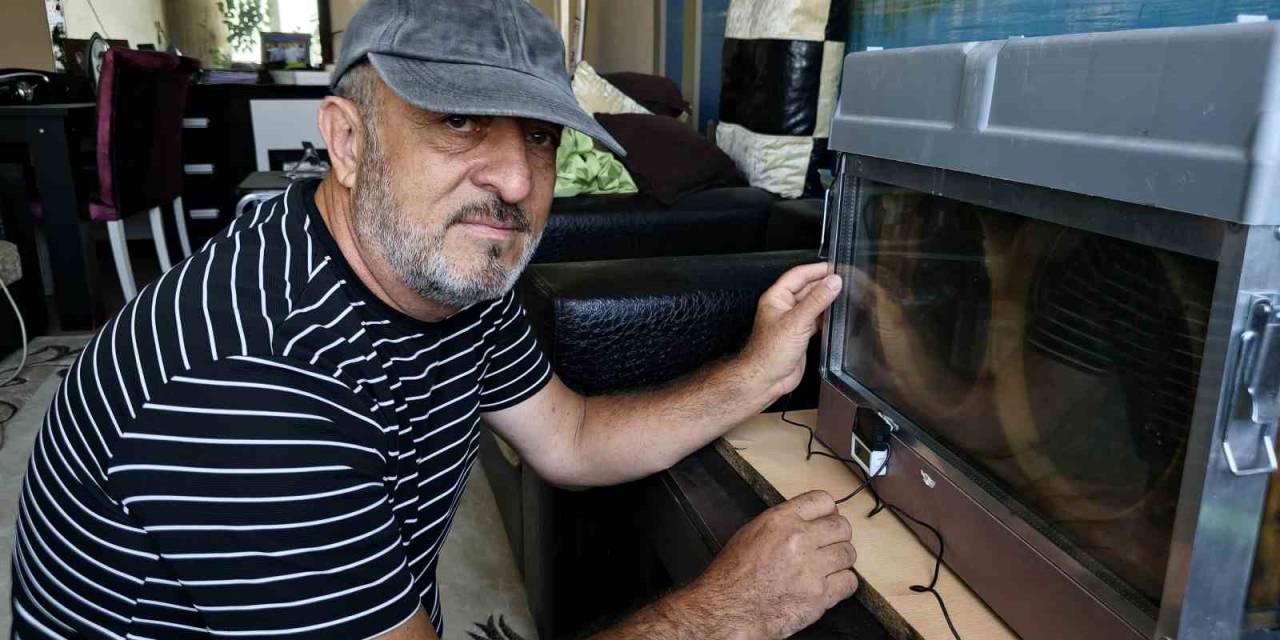 Bu Düzenek Görenleri Şaşırtıyor; Vızır Vızır Çalışan Arılar 15. Kata Bal Götürüyor